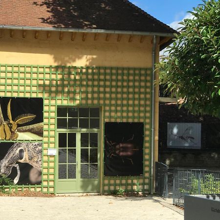Charmante Maison Bourguignonne Avec Grand Jardin Et Parking Montbard Exteriér fotografie